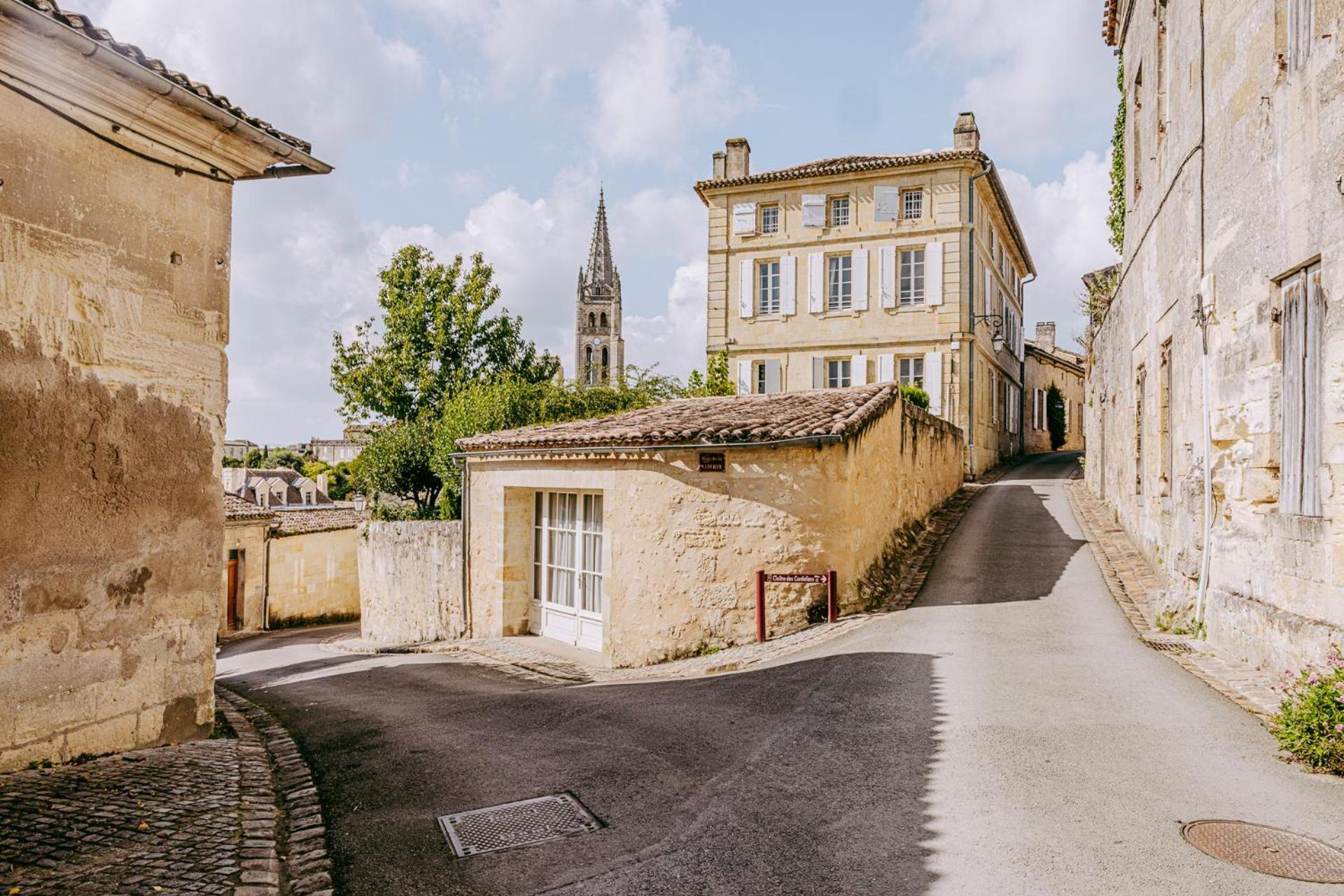 Logis De La Cadene - Teritoria Hotel Saint-Émilion Kültér fotó